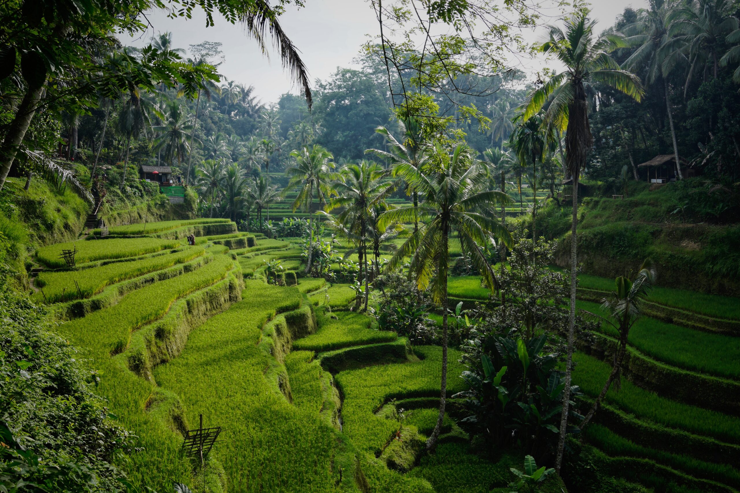 Migliori itinerari per scoprire Bali